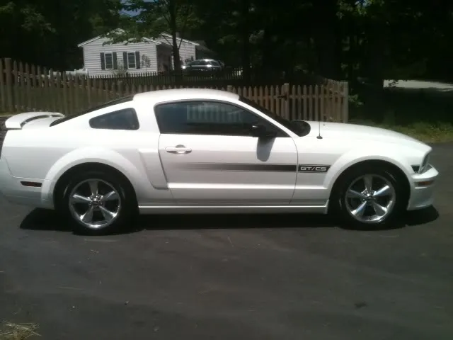 Stang.webp