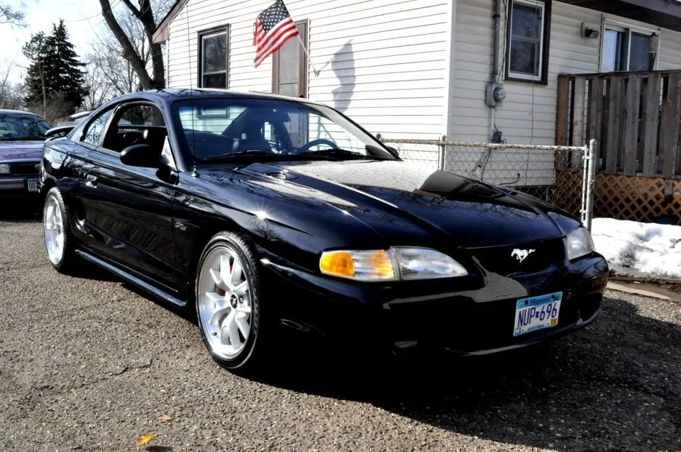 Stang.webp