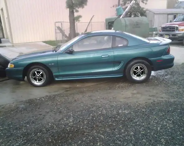 stang.webp