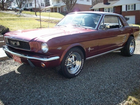 stang.webp