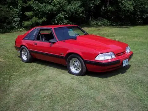 Stang.webp
