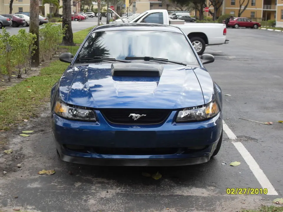 stang.webp