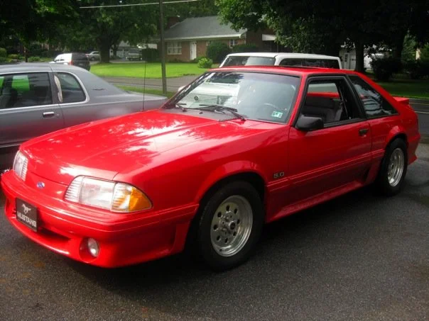 stang.webp