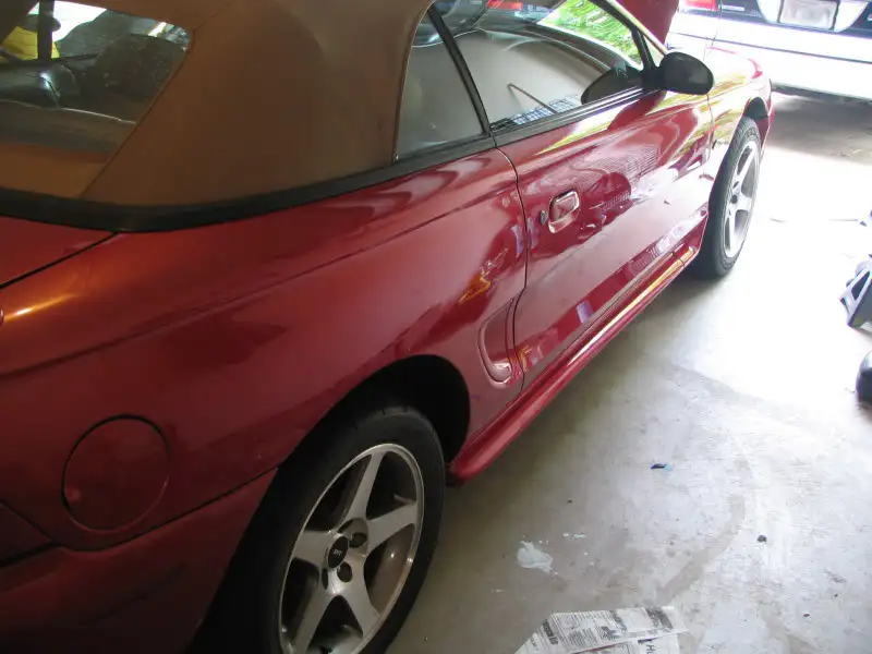 stang.webp