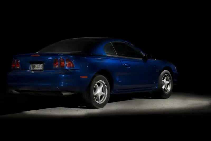 Stang.webp