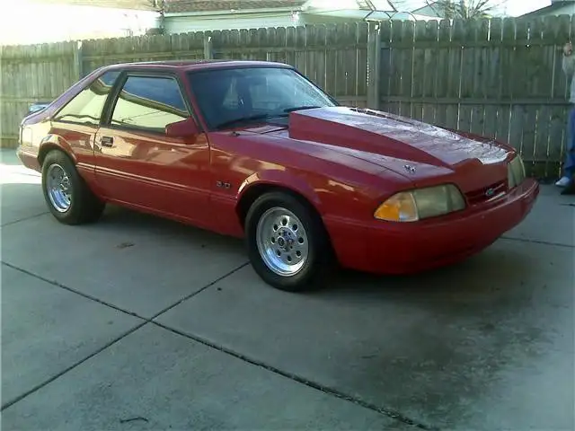 stang.webp