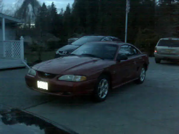 stang.webp