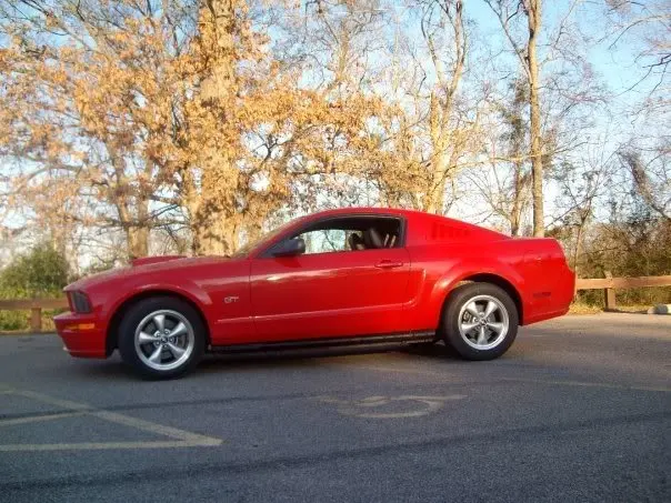 Stang.webp