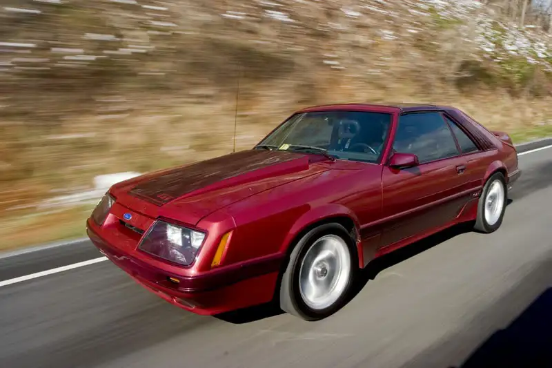 stang.webp
