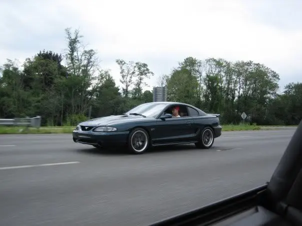 stang.webp