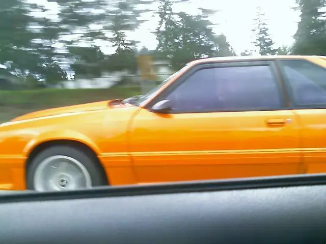 stang.webp