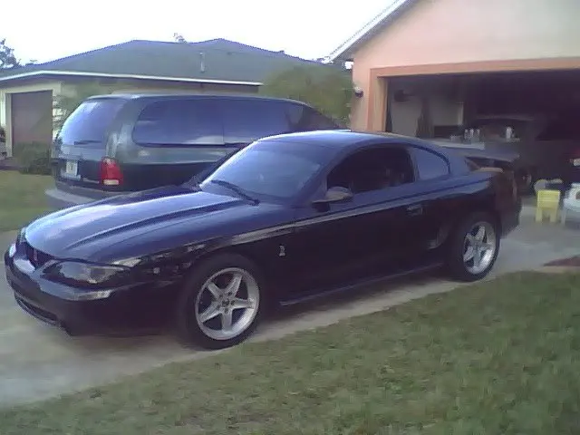 stang.webp