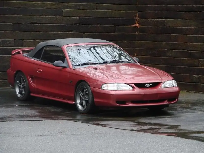 stang.webp