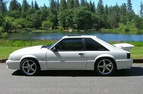 Stang.webp