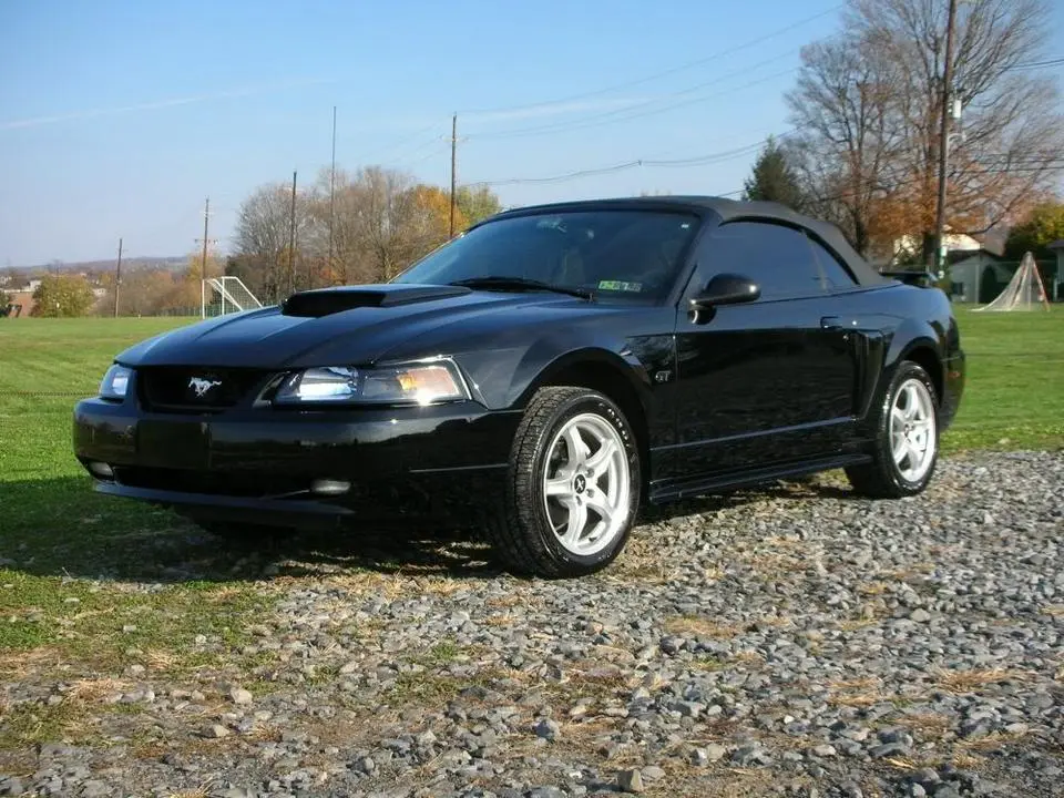 stang.webp