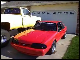 stang.webp