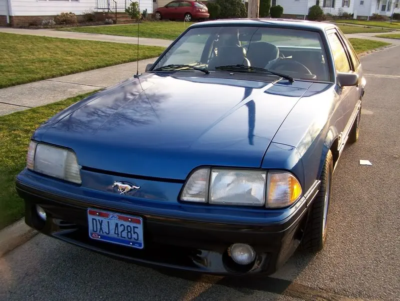 Stang.webp