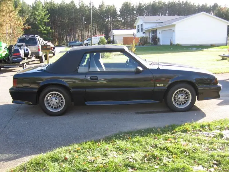 stang.webp