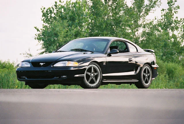 stang.webp