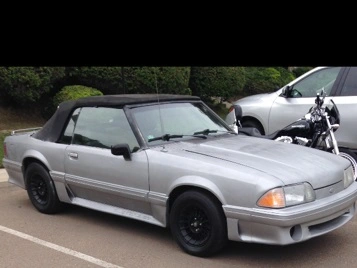 stang.webp