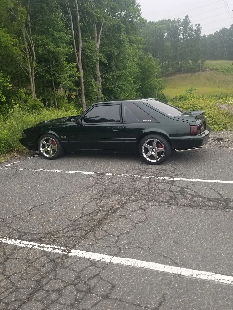 stang.webp
