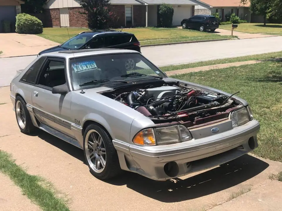 stang.webp