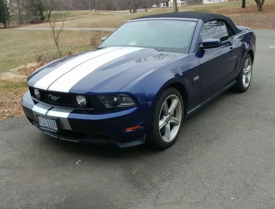 stang.webp