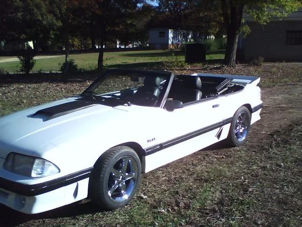 STANG.webp