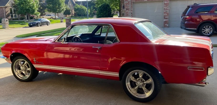 Stang.webp