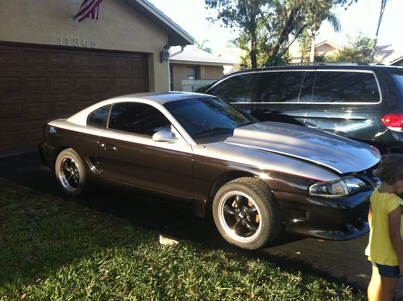 stang.webp