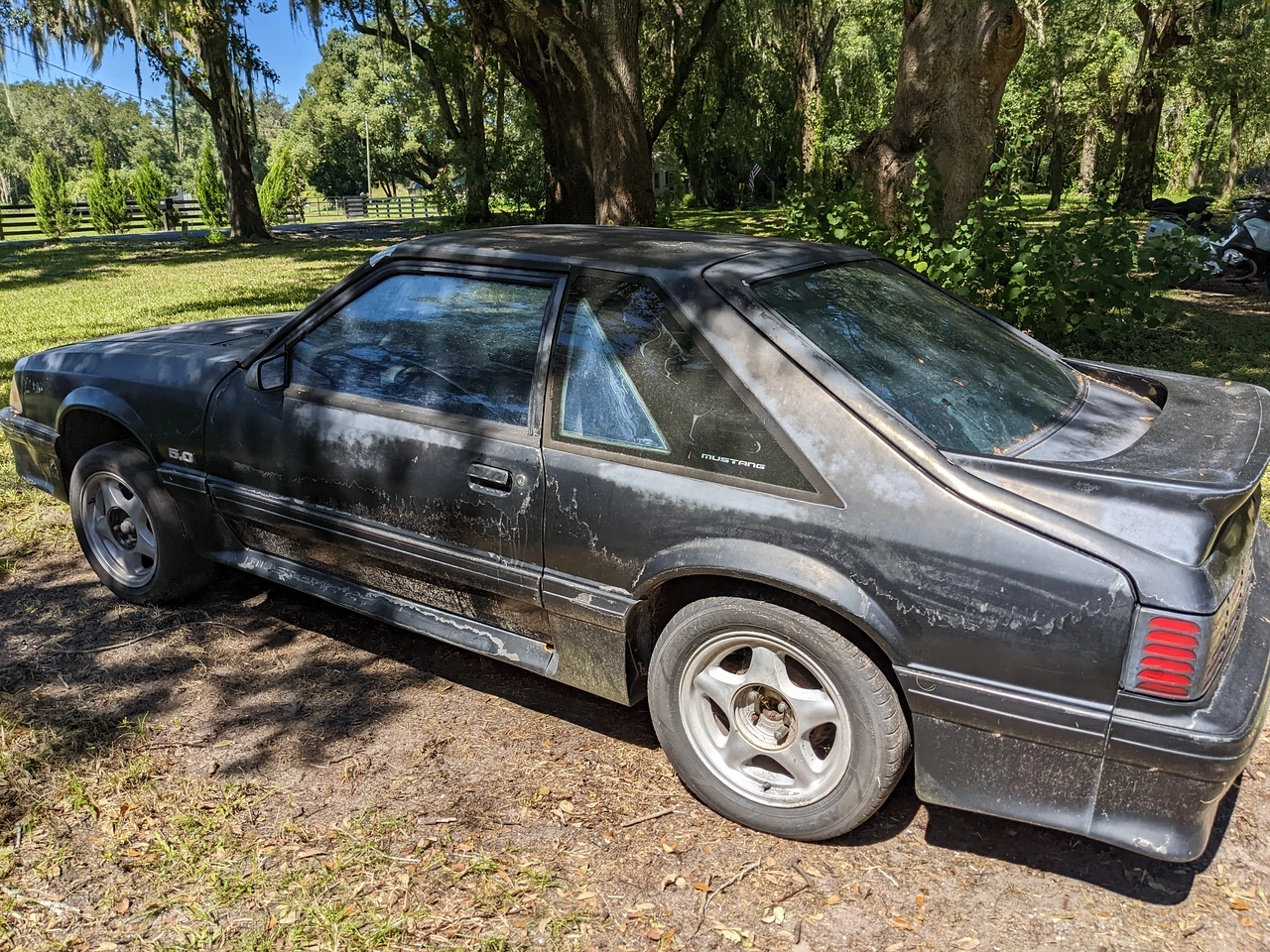 Stang.webp