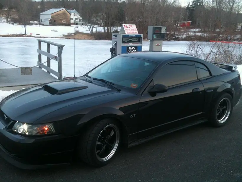 stang.webp