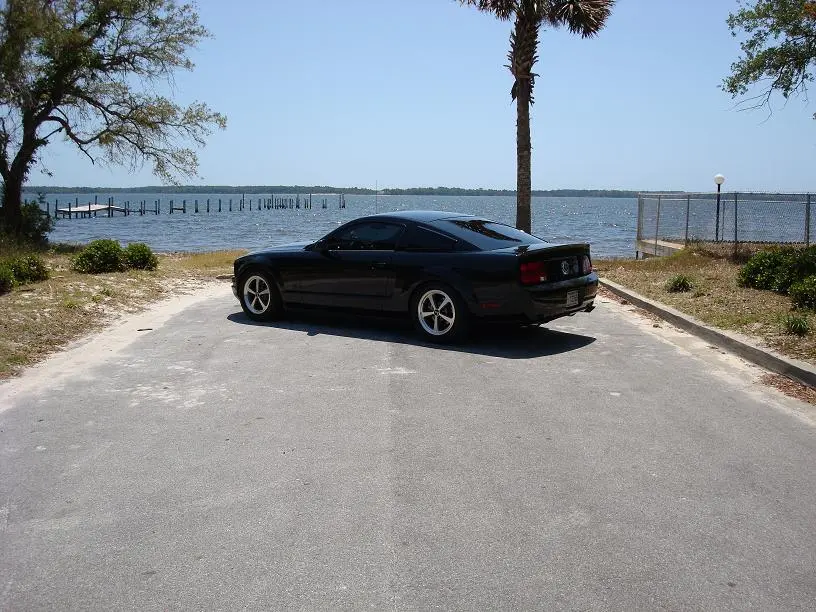 STANG.webp