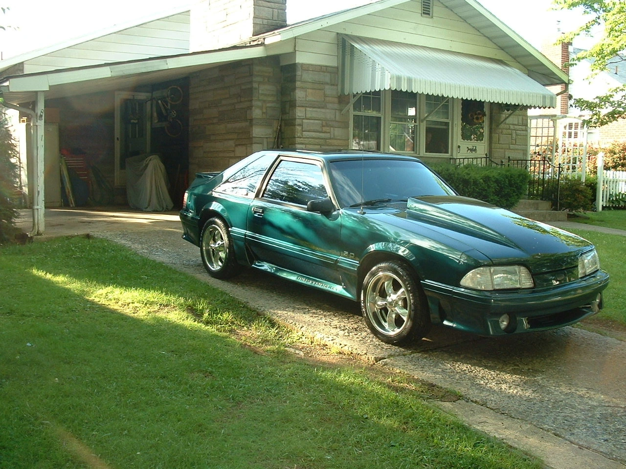 stang.webp