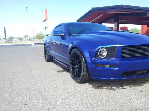 stang.webp