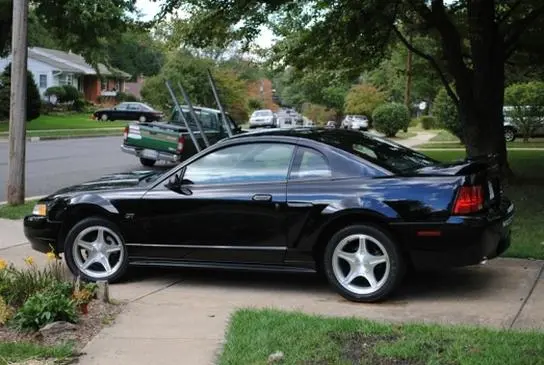 stang.webp