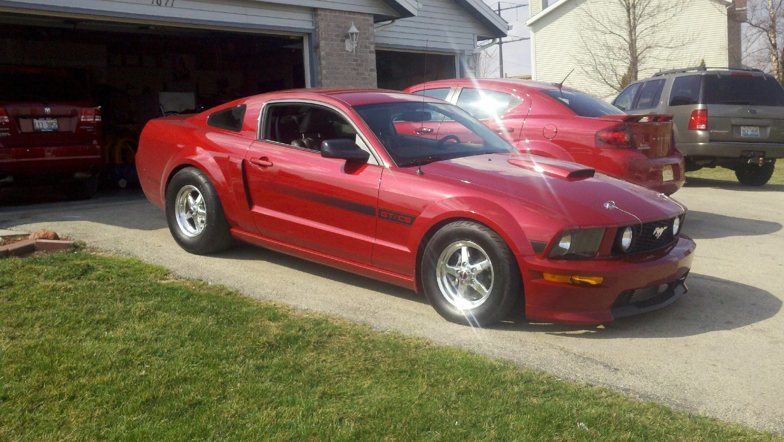 stang.webp
