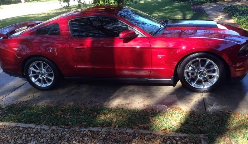 stang.webp