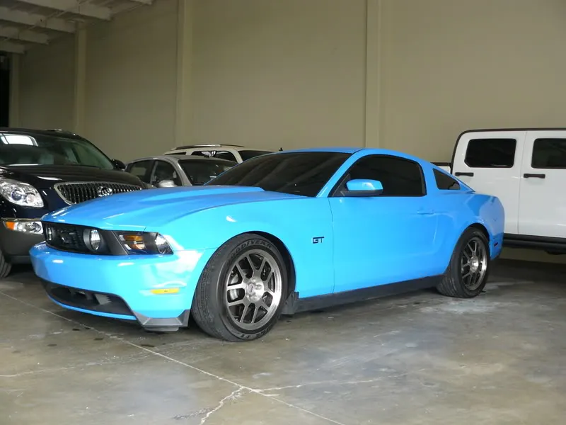 stang001.webp