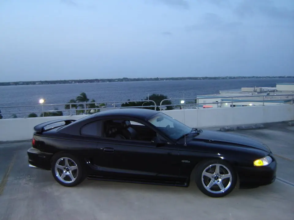 stang001.webp