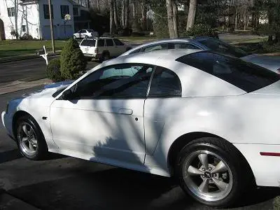 Stang001.webp