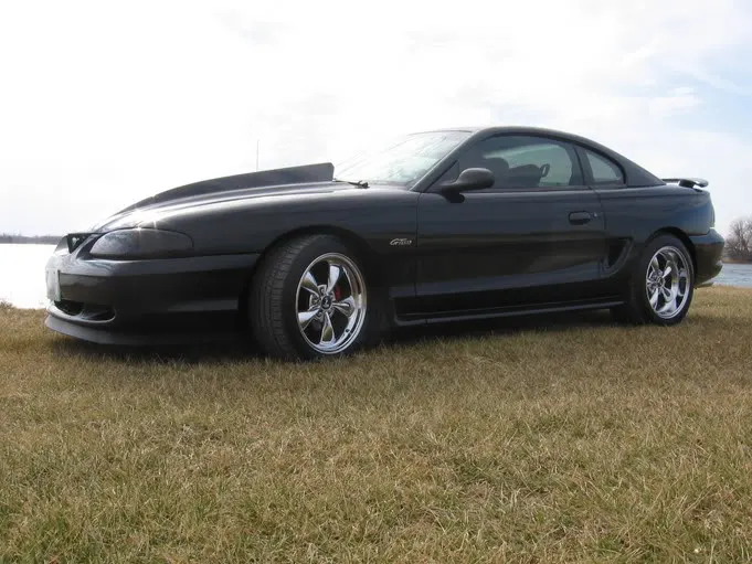 stang001.webp