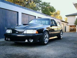 stang001pz9.webp