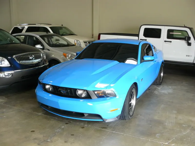 stang002.webp