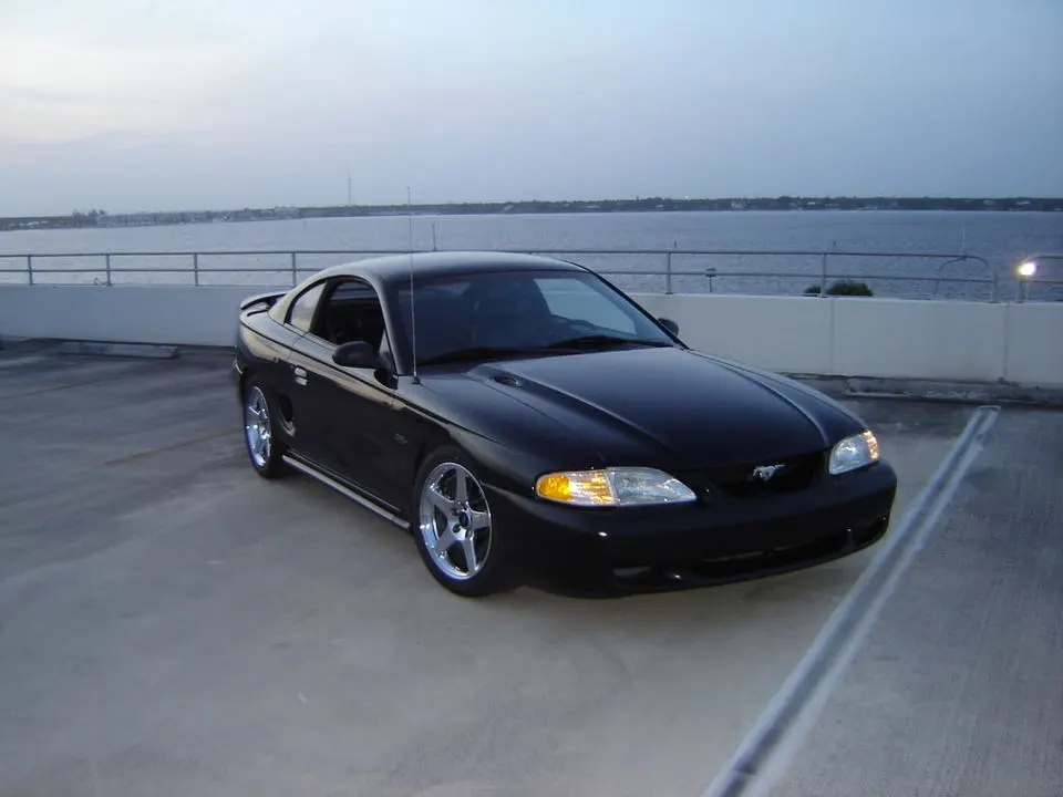 stang002.webp