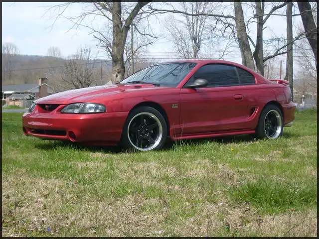 stang002.webp