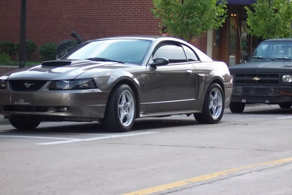 stang002.webp