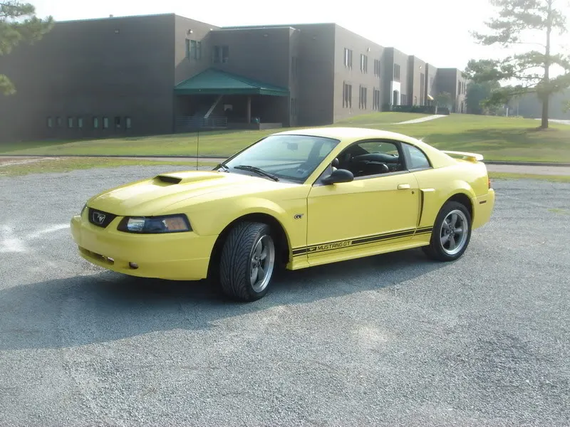 stang002.webp