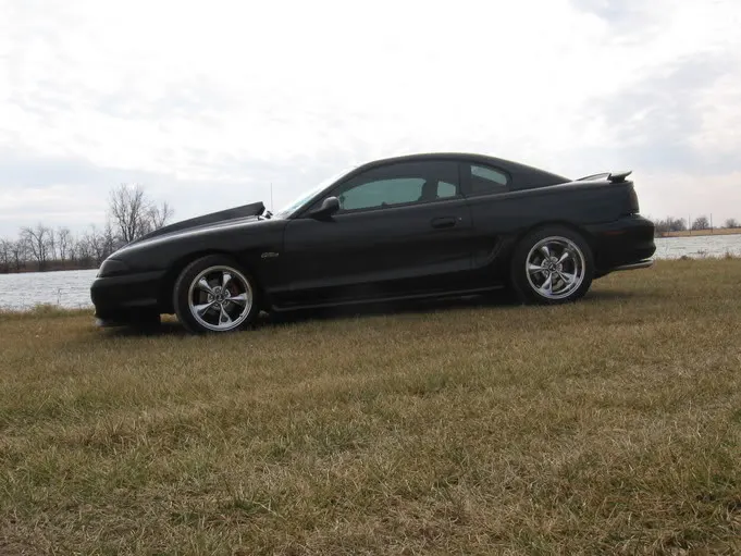 stang002.webp