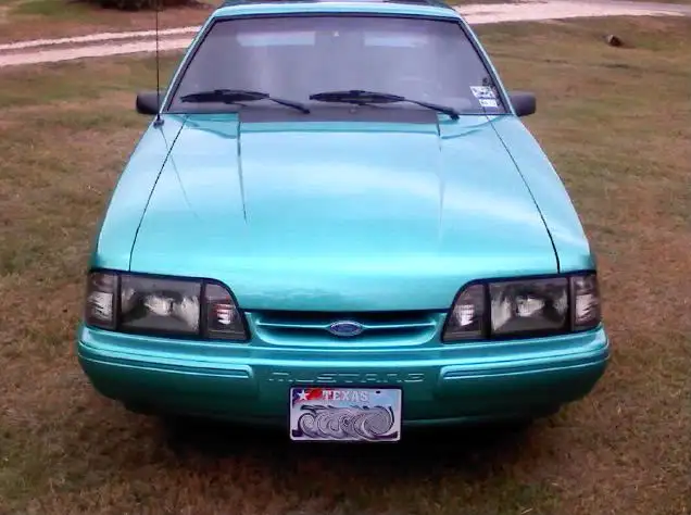stang003-2.webp